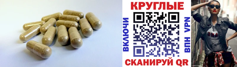 Ecstasy mix  Купить закладки  Змеиногорск 