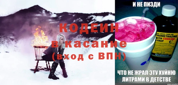 молекула духа Лабытнанги