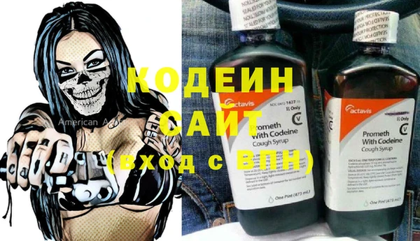 молекула духа Лабытнанги