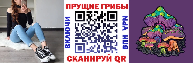 Купить закладки  Змеиногорск  Галлюциногенные грибы Cubensis 